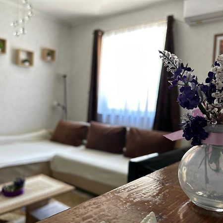 Balatonföldvár Levendula Vendeghazヴィラ エクステリア 写真